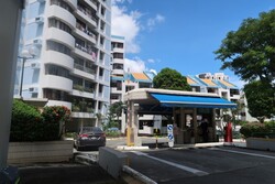 Far Horizon Garden (D20), Condominium #508345351